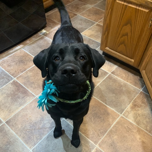 Meet your Posher, Kelly - Picture 1 of 1